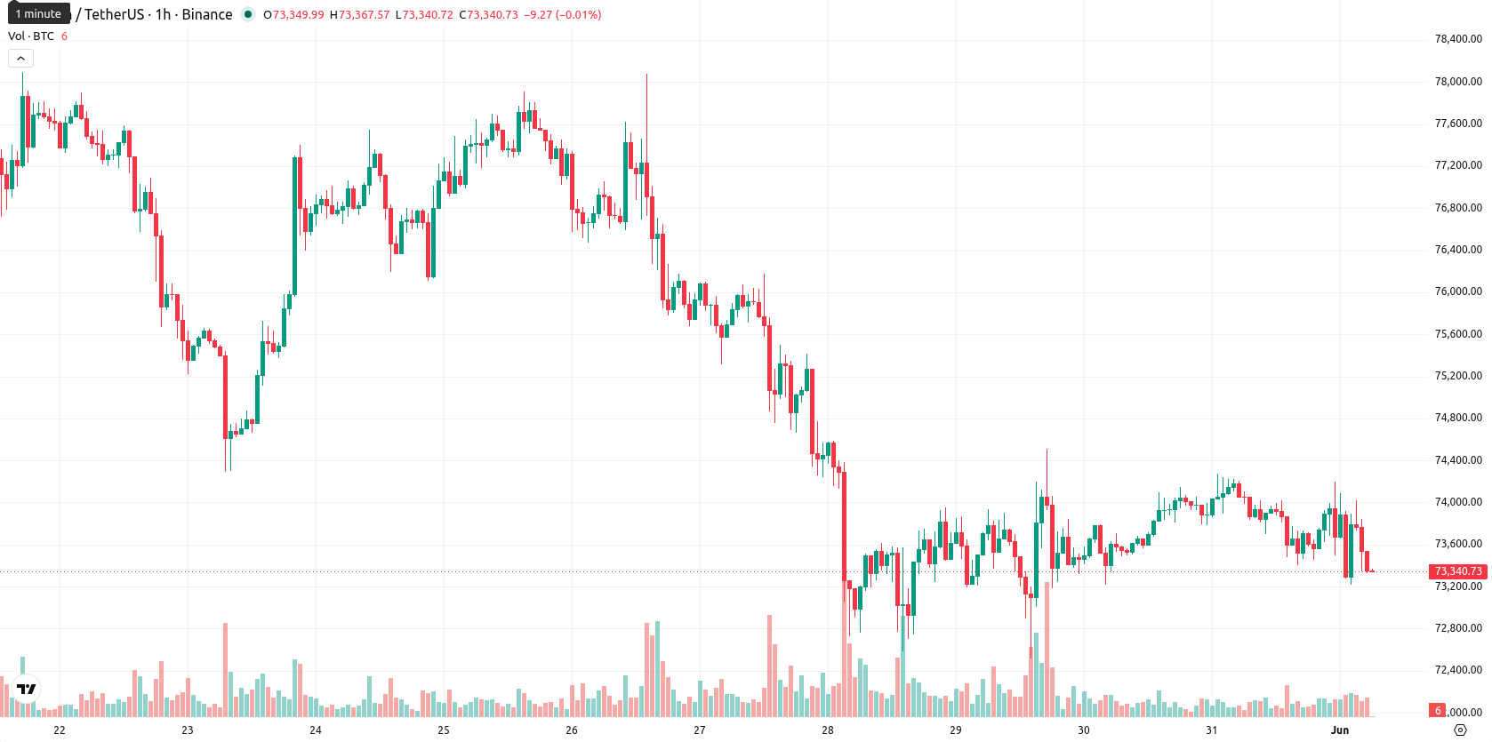 Bitcoin asset chart
