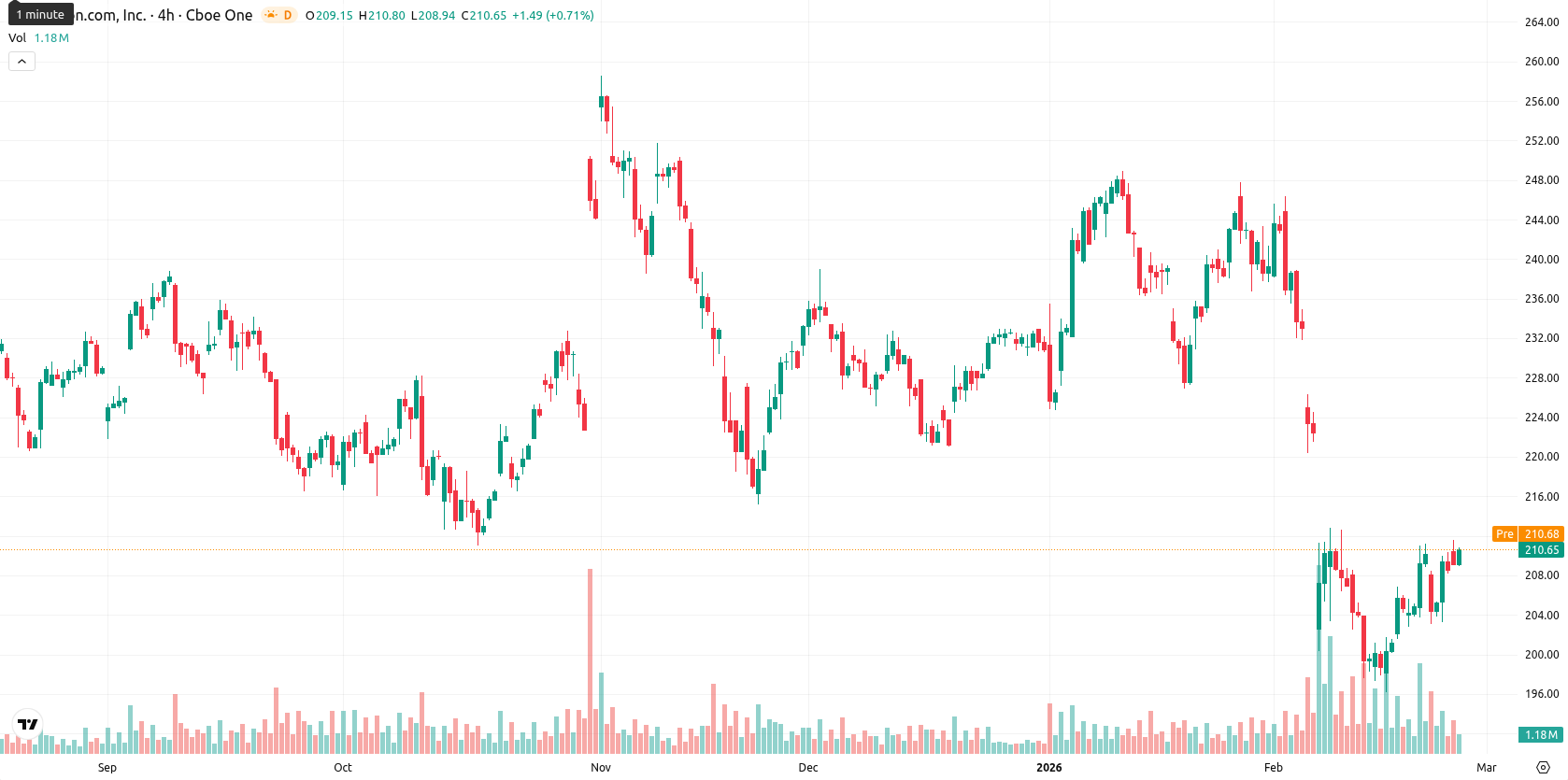 Amazon.com Inc asset chart