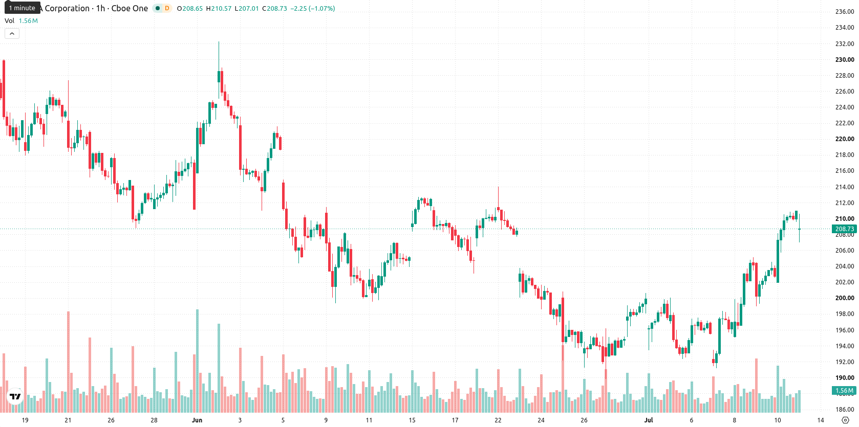 Nvidia Corp asset chart