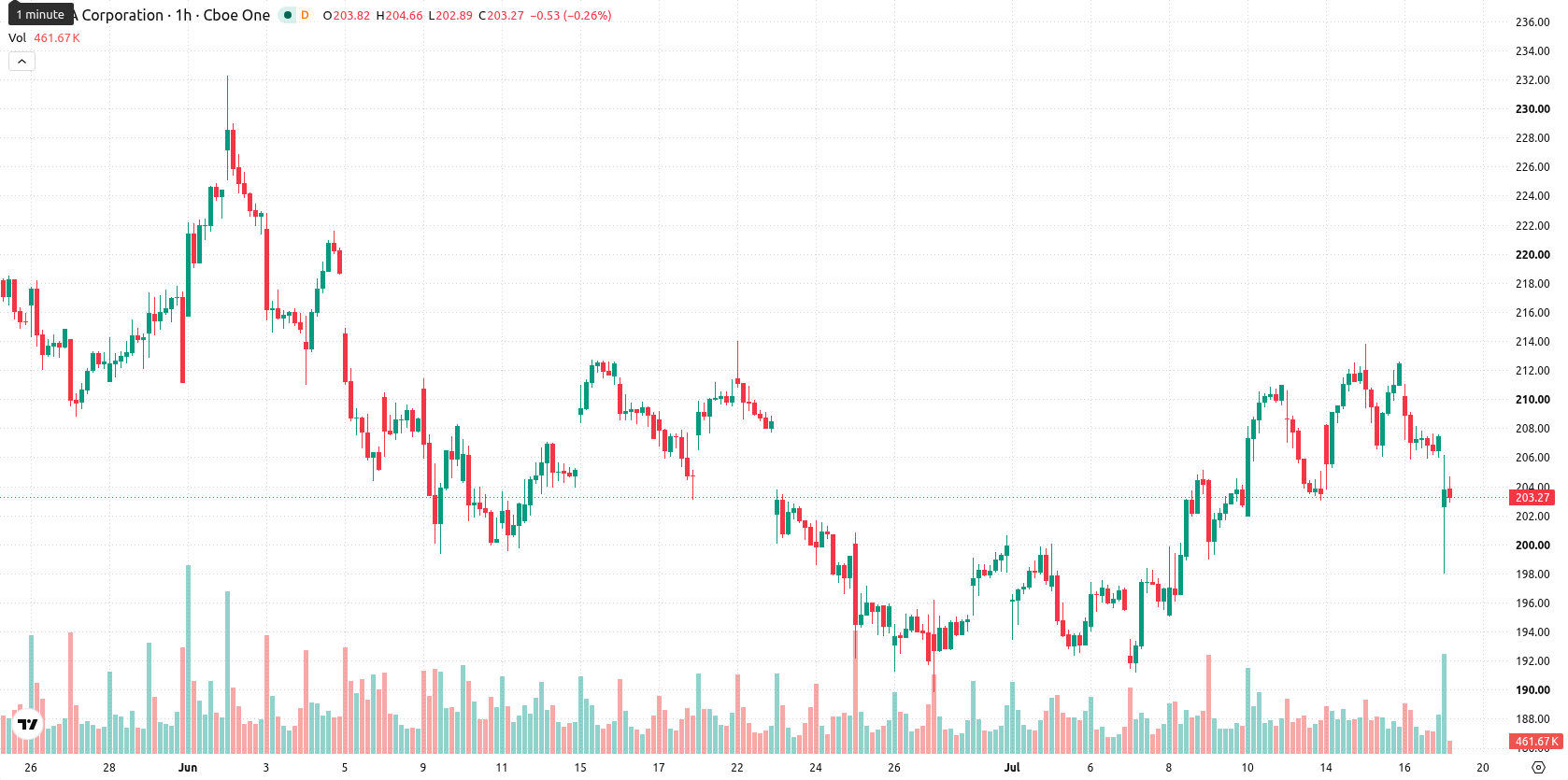 Nvidia Corp asset chart