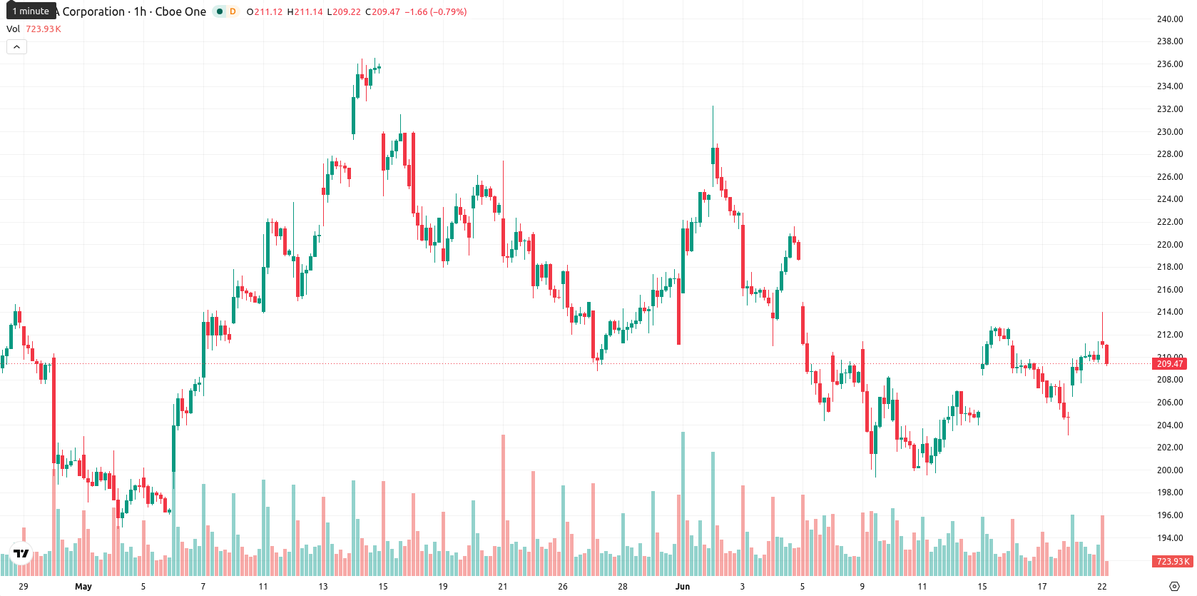 Nvidia Corp asset chart