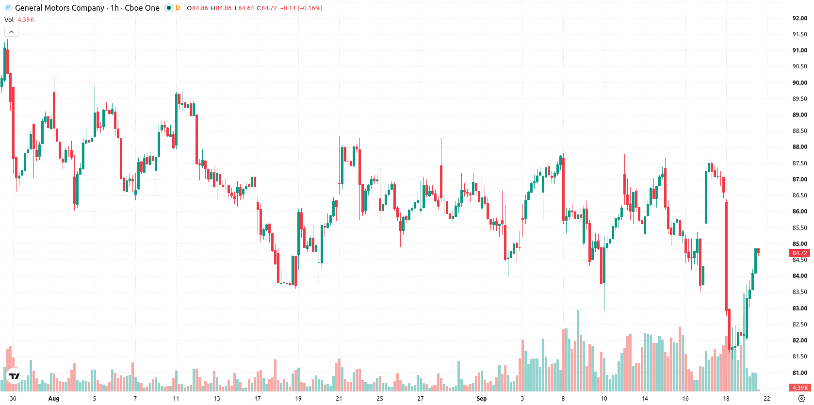 General Motors asset chart