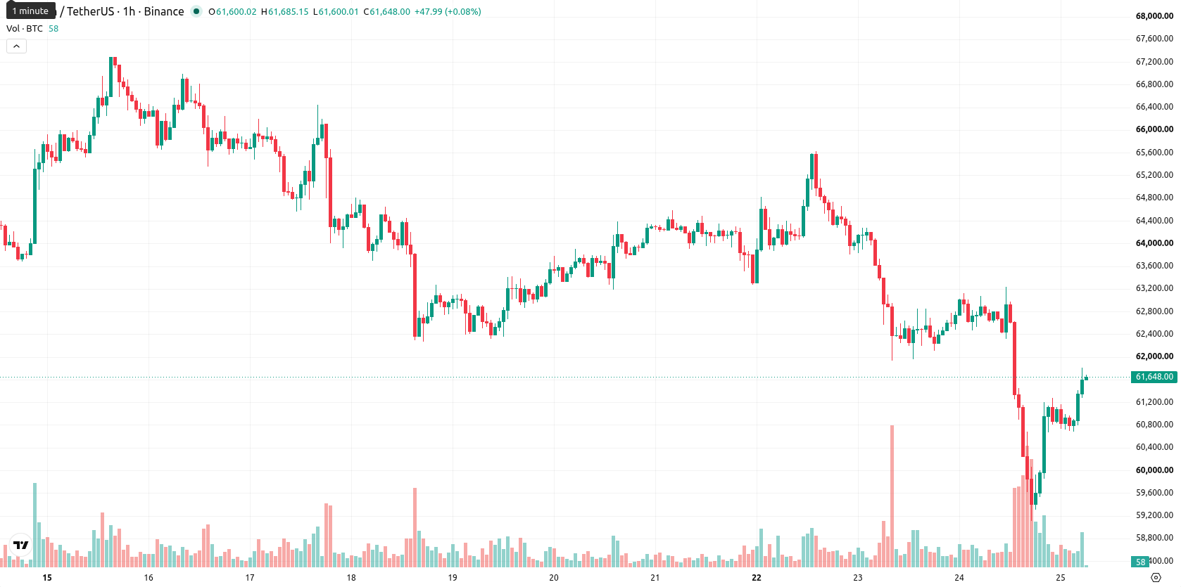 Bitcoin asset chart