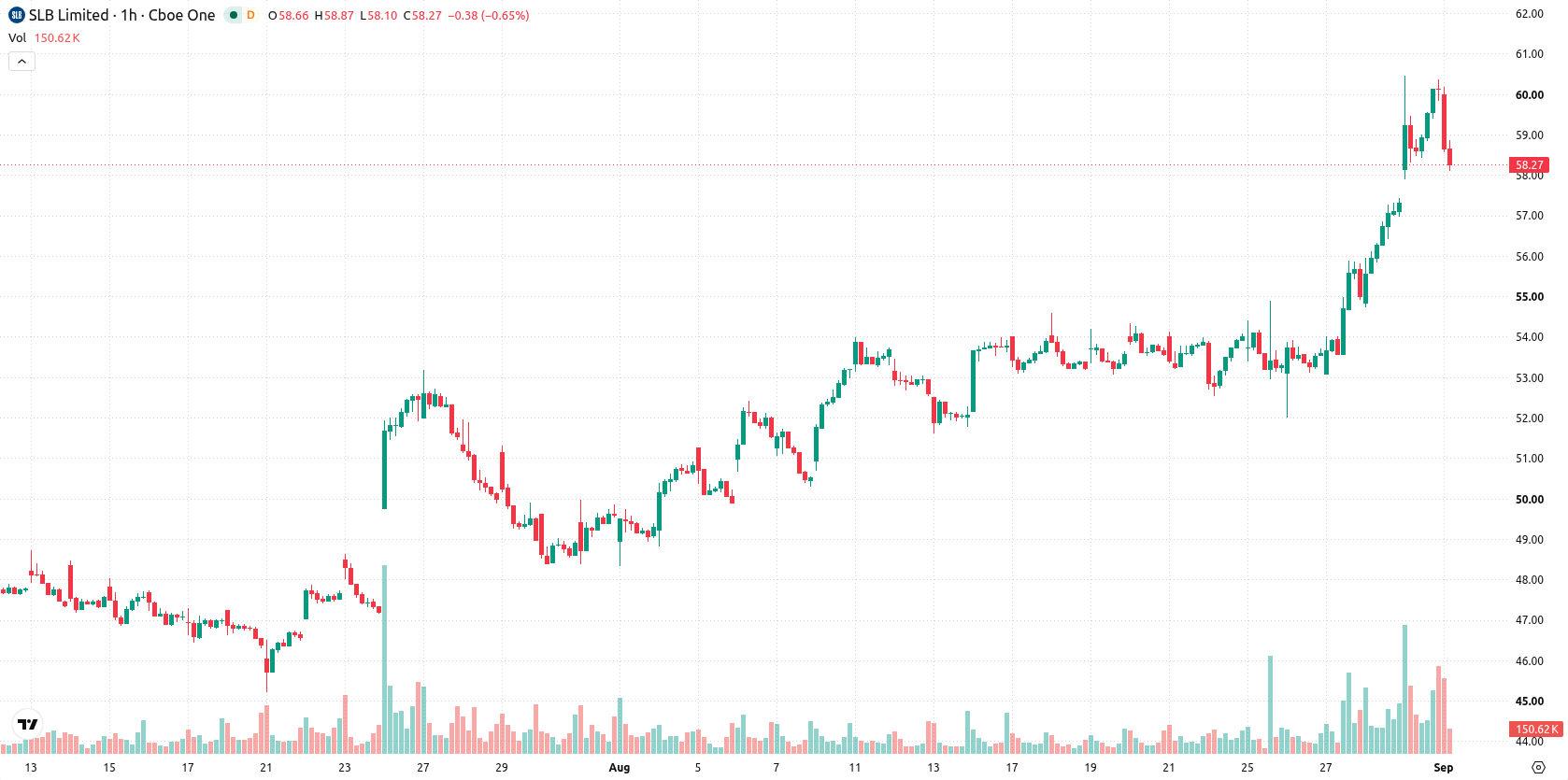 Schlumberger asset chart