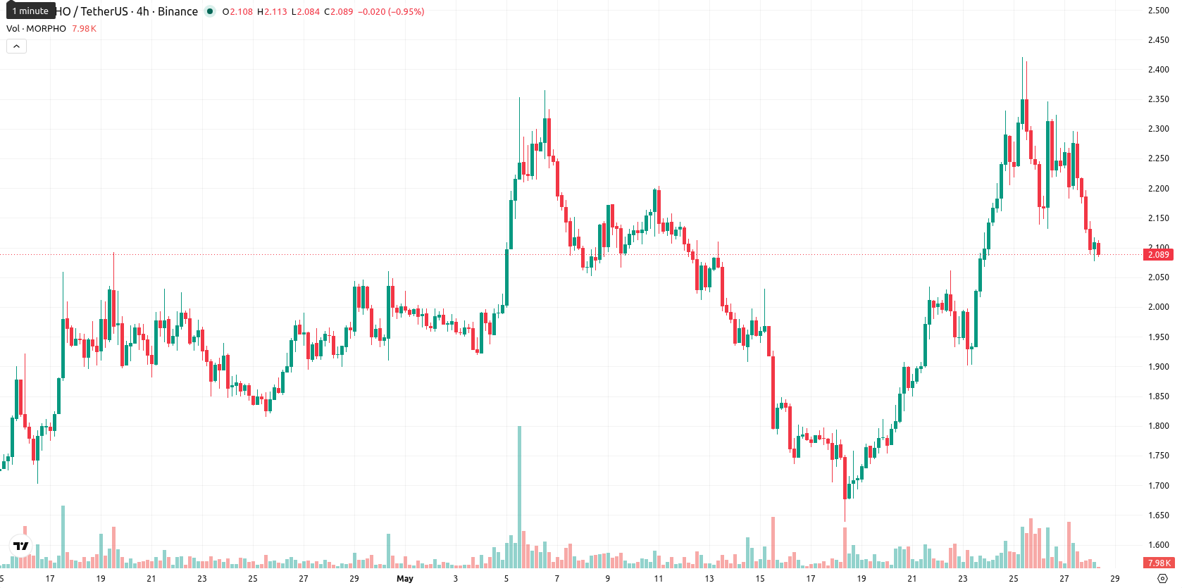 Morpho asset chart