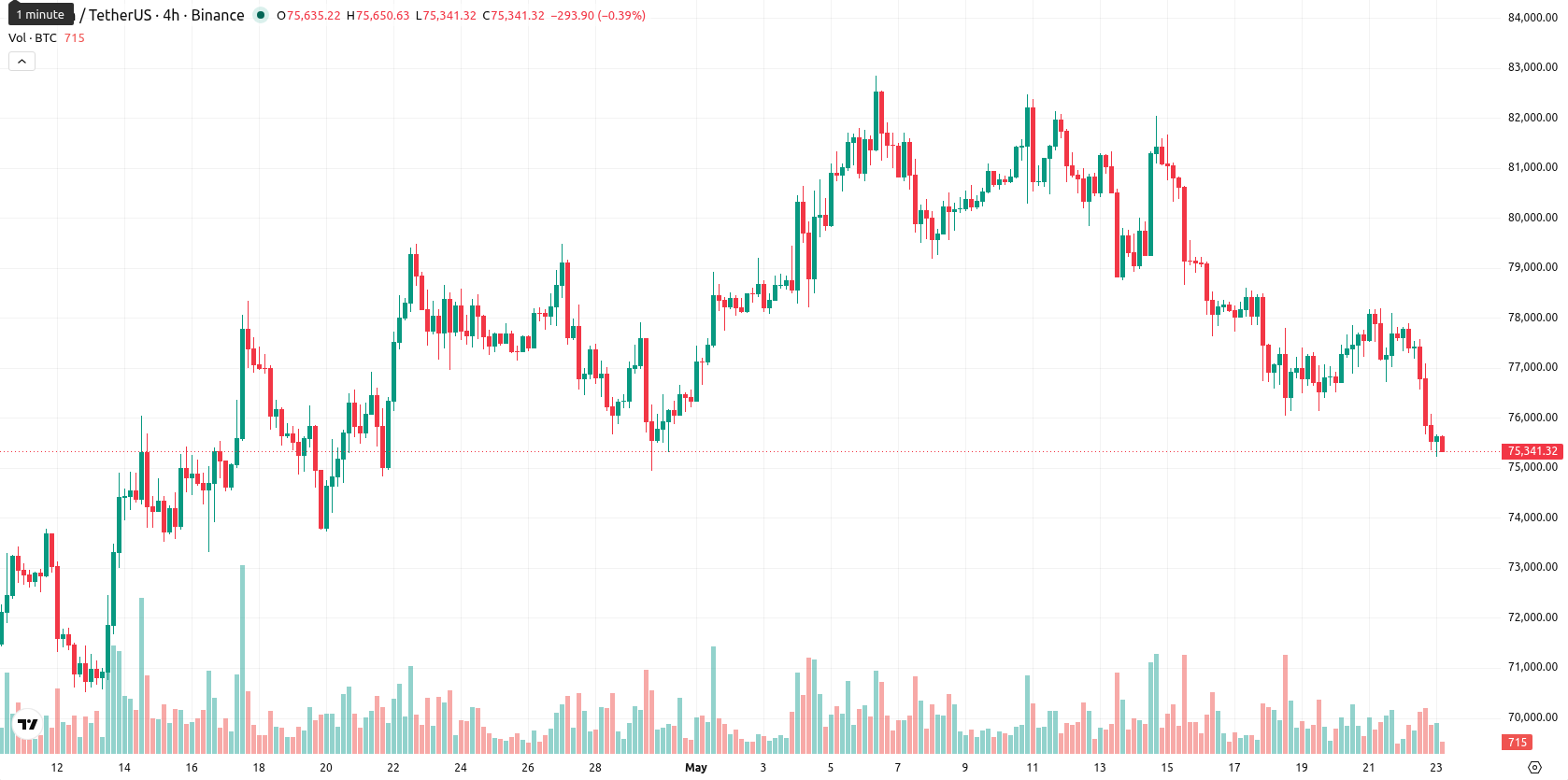 Bitcoin asset chart