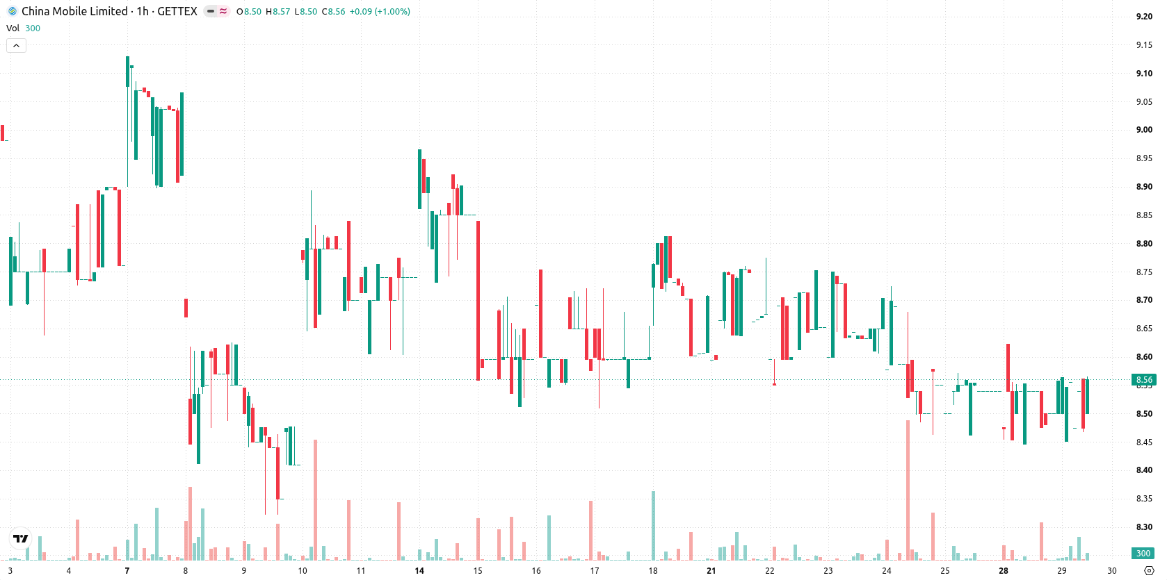 China Mobile asset chart