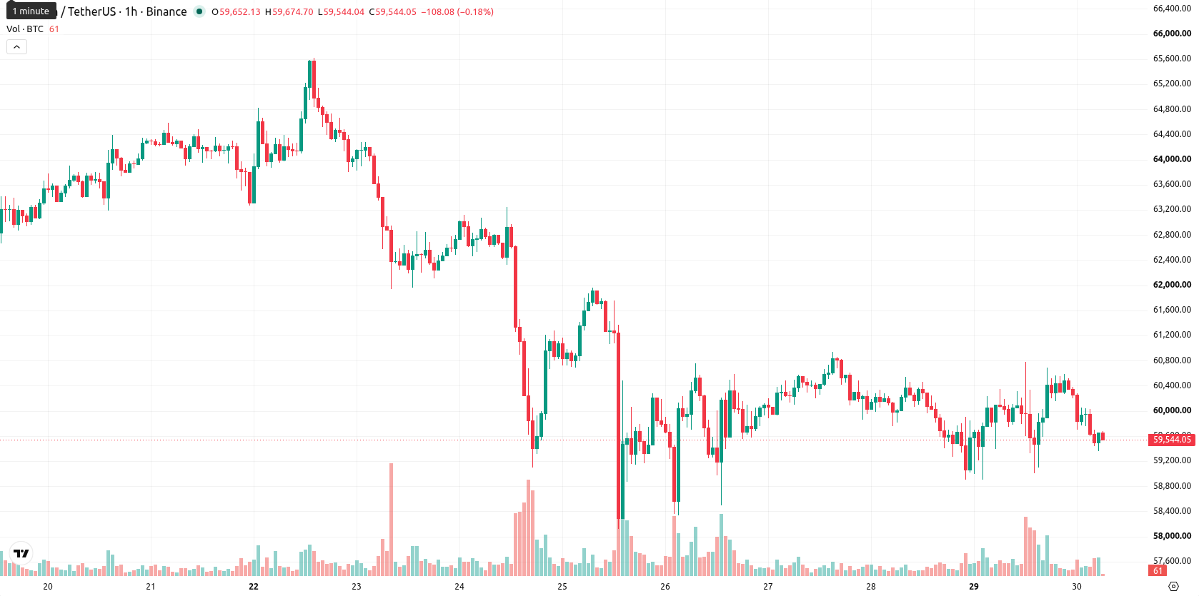 Bitcoin asset chart