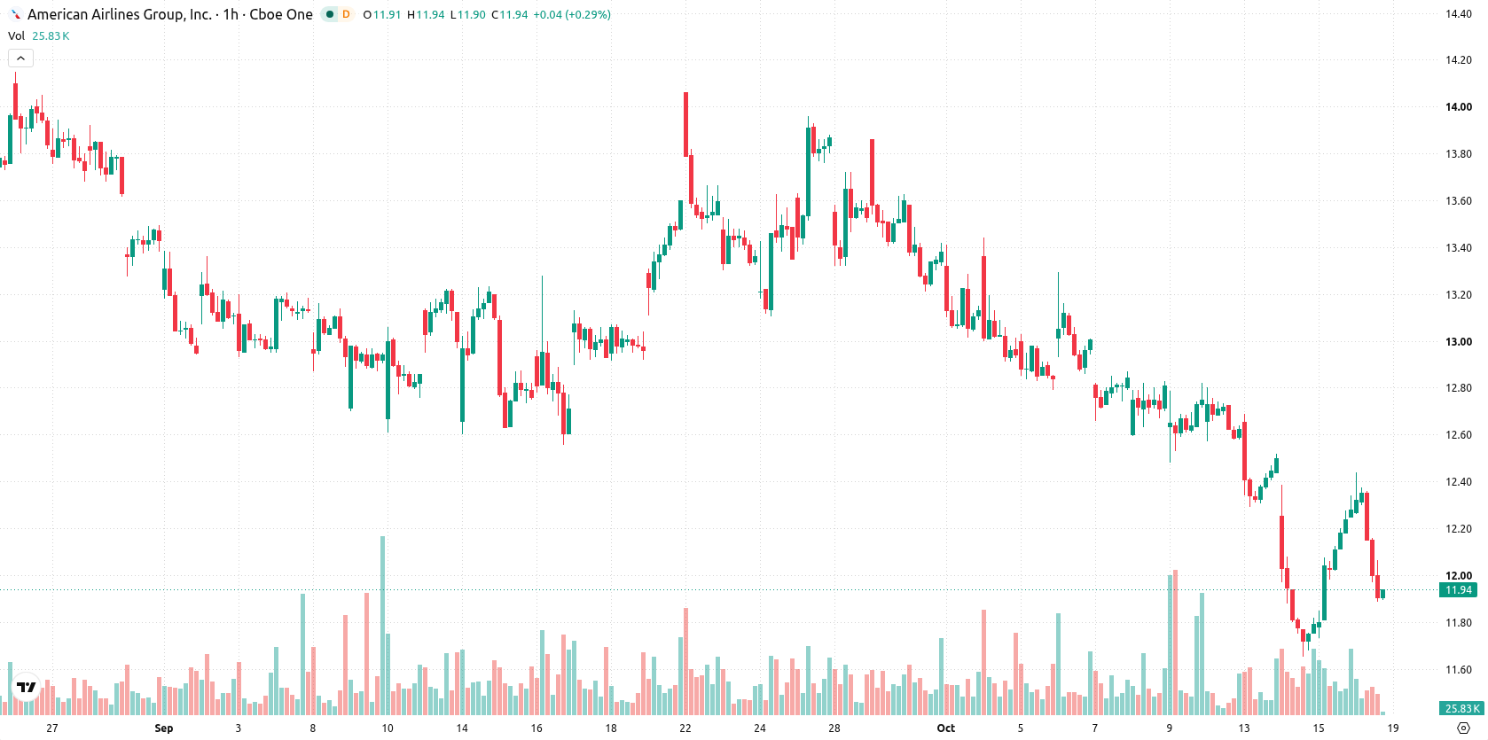 American Airlines Group Inc. asset chart