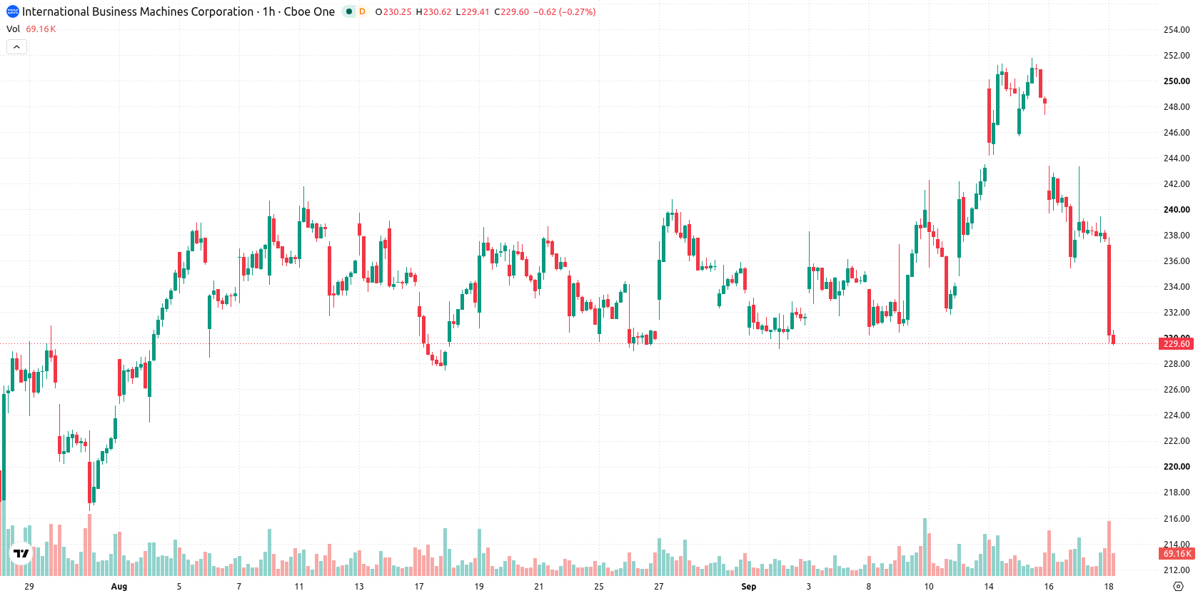 IBM asset chart