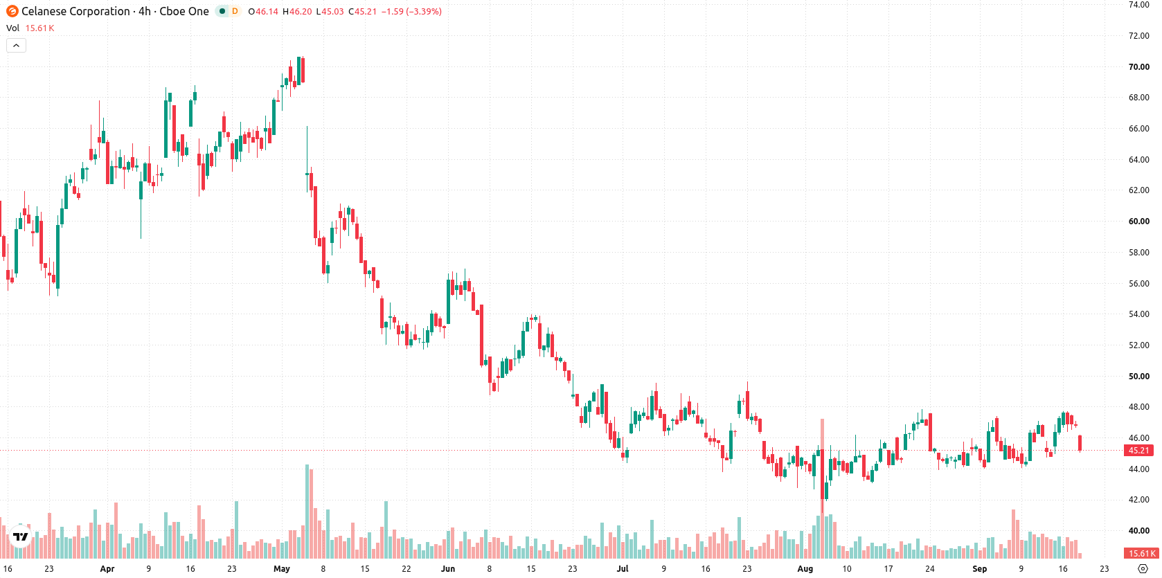 Celanese Corporation asset chart