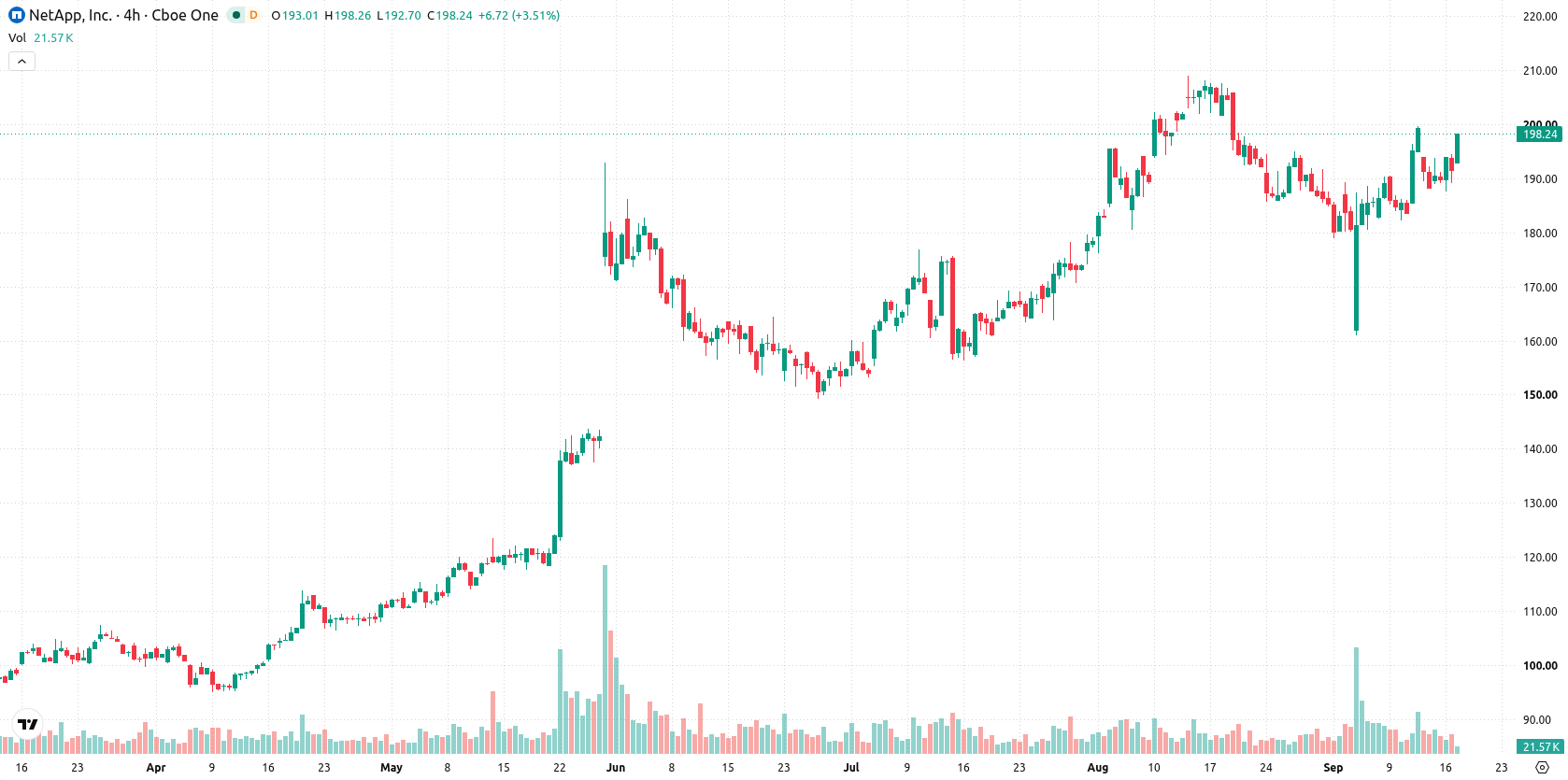 NetApp Inc asset chart