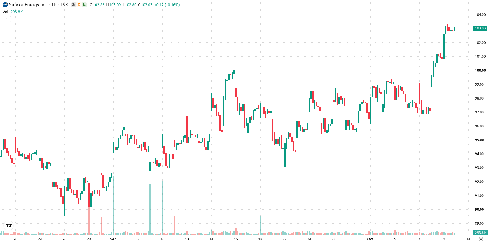 Suncor Energy Inc. asset chart