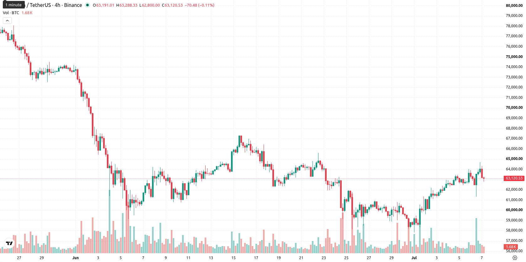 Bitcoin asset chart