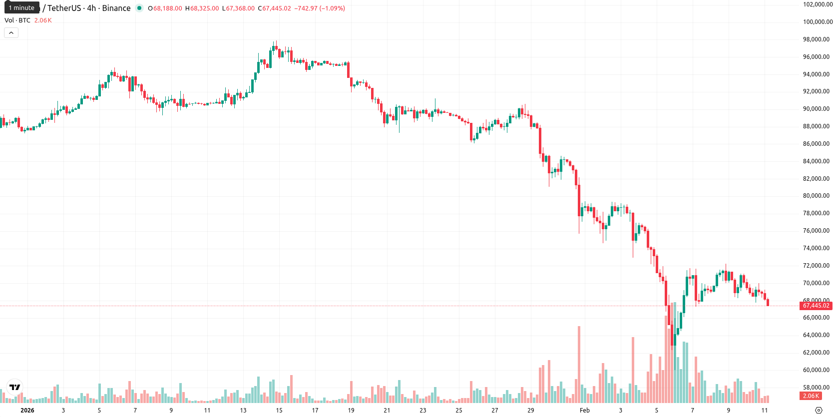 Bitcoin asset chart