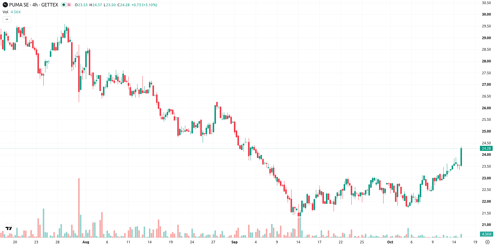Puma SE asset chart