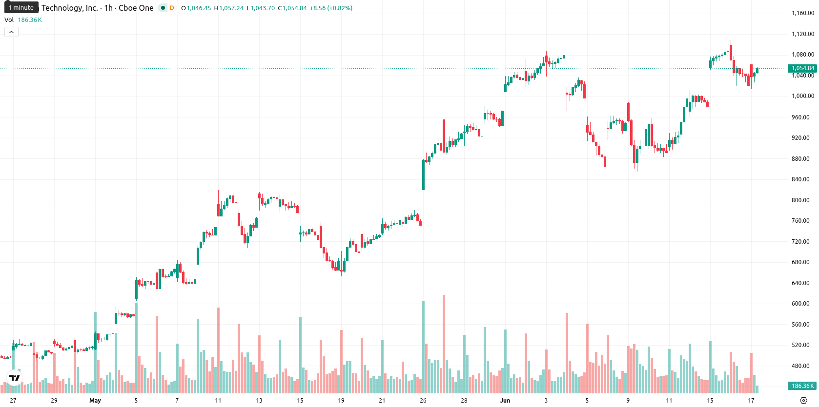Micron Technology asset chart