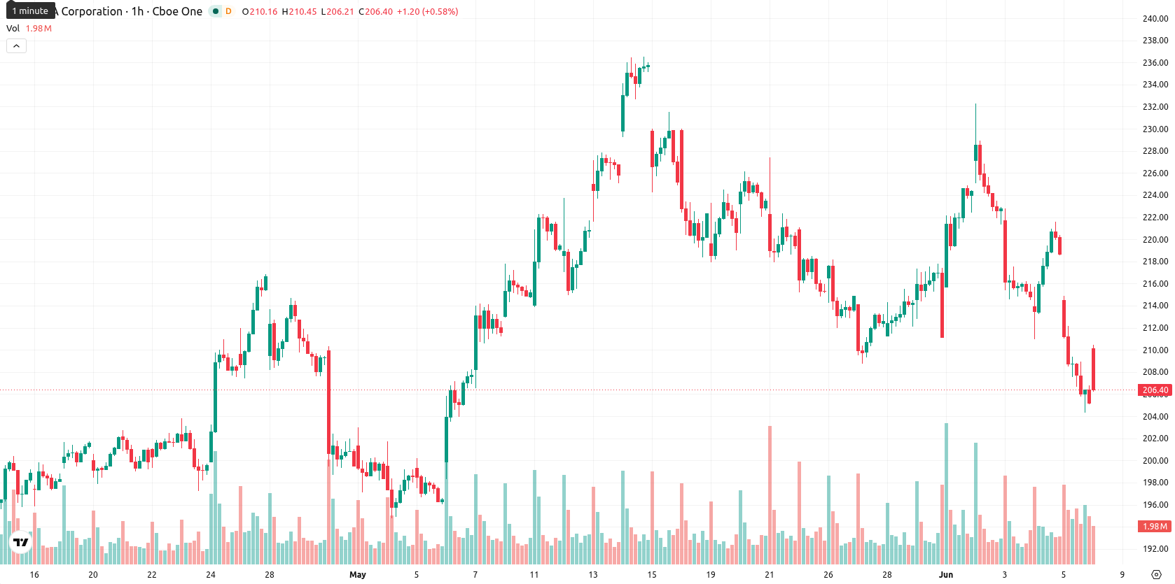 Nvidia Corp asset chart