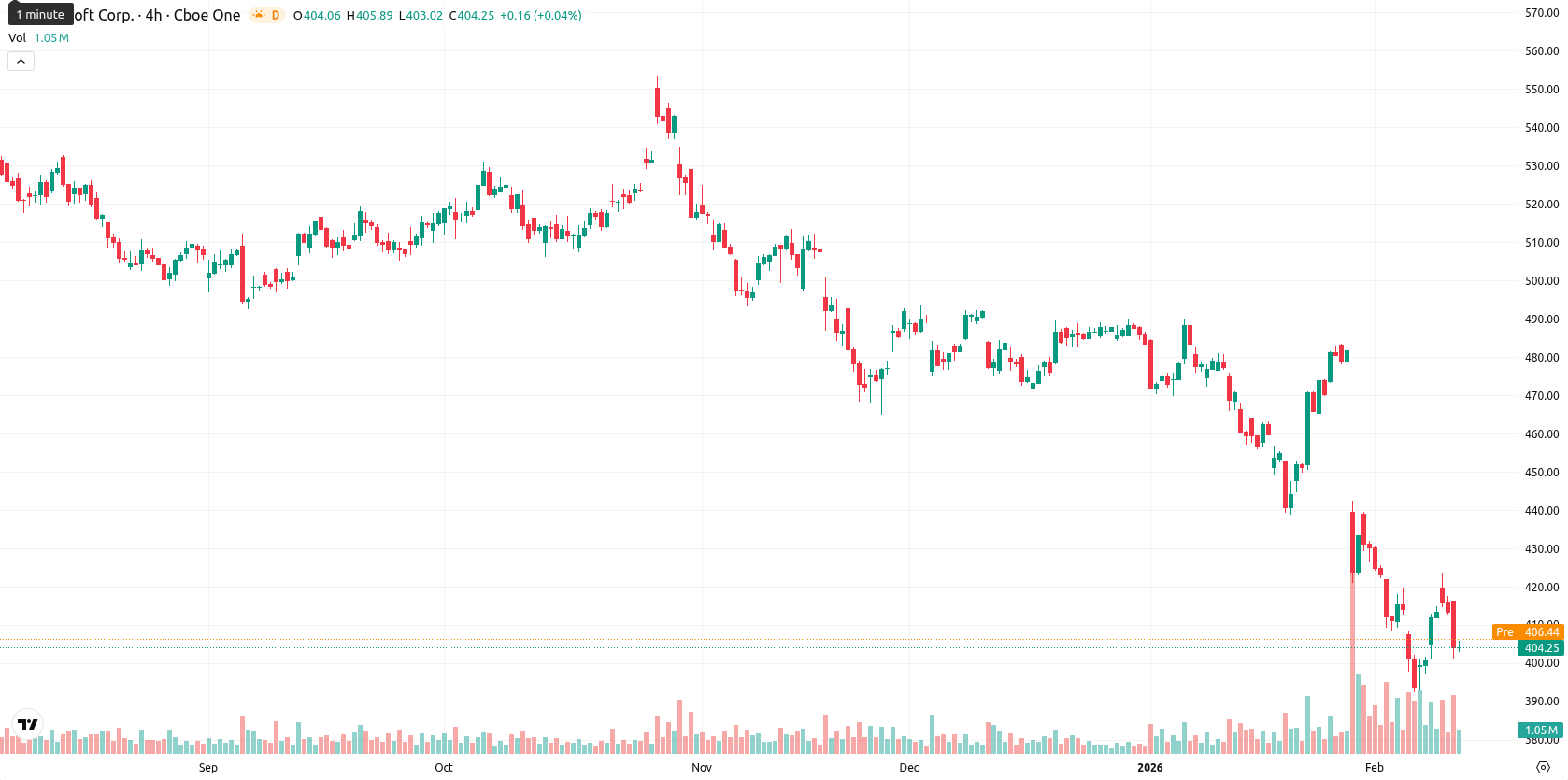 Microsoft Corp asset chart