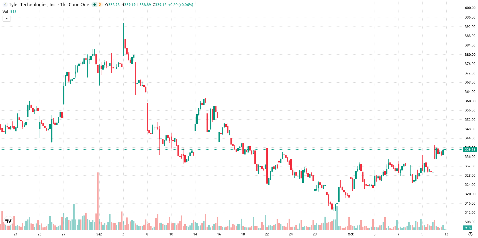 Tyler Technologies asset chart