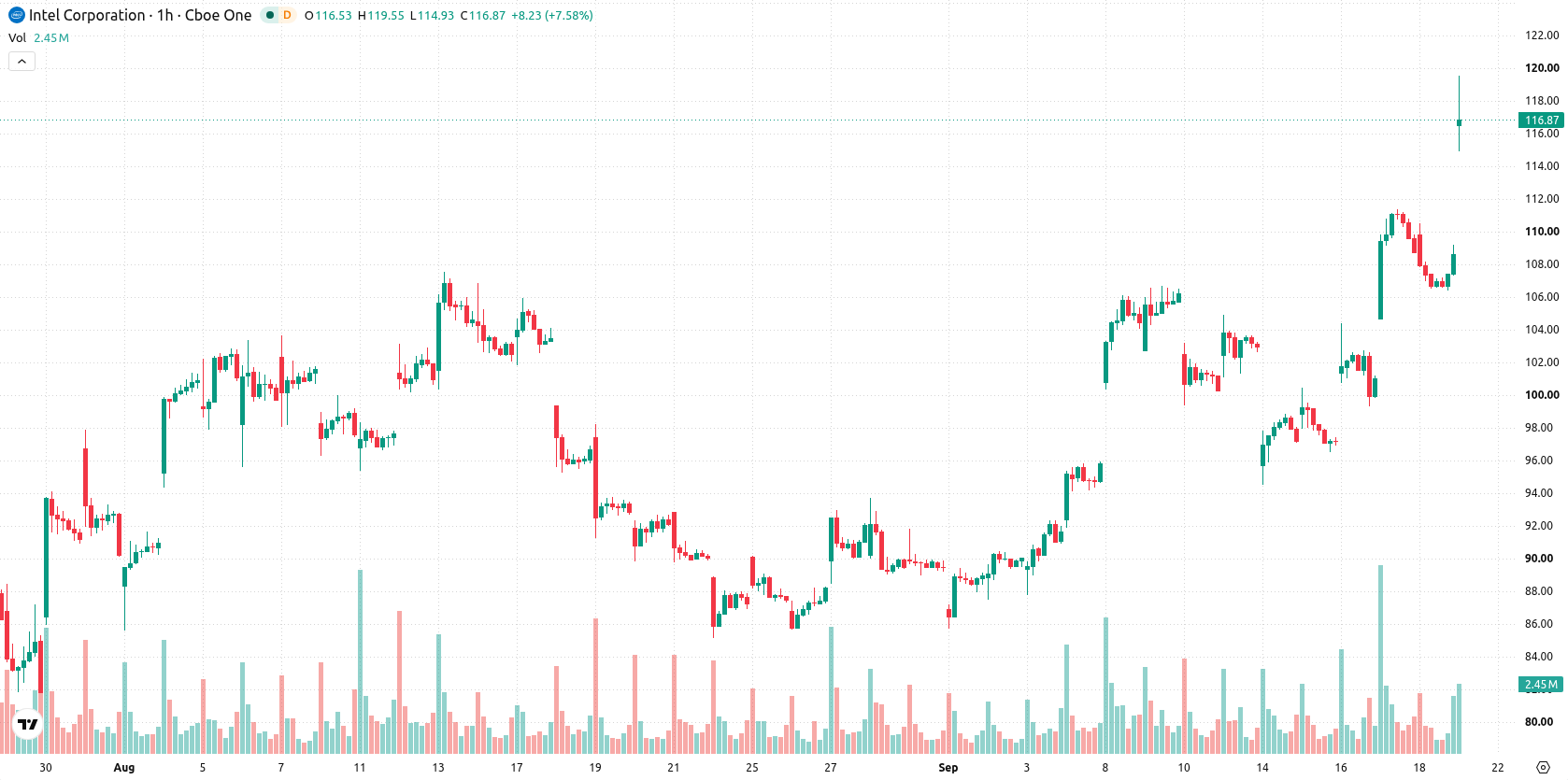 Intel Corporation asset chart