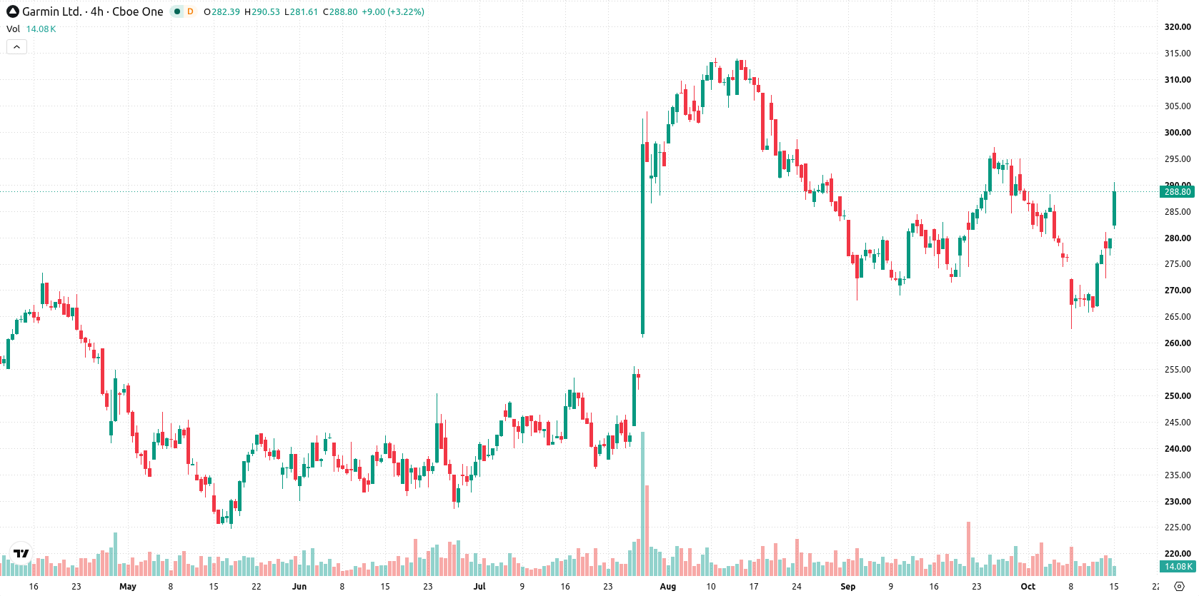 Garmin Ltd asset chart