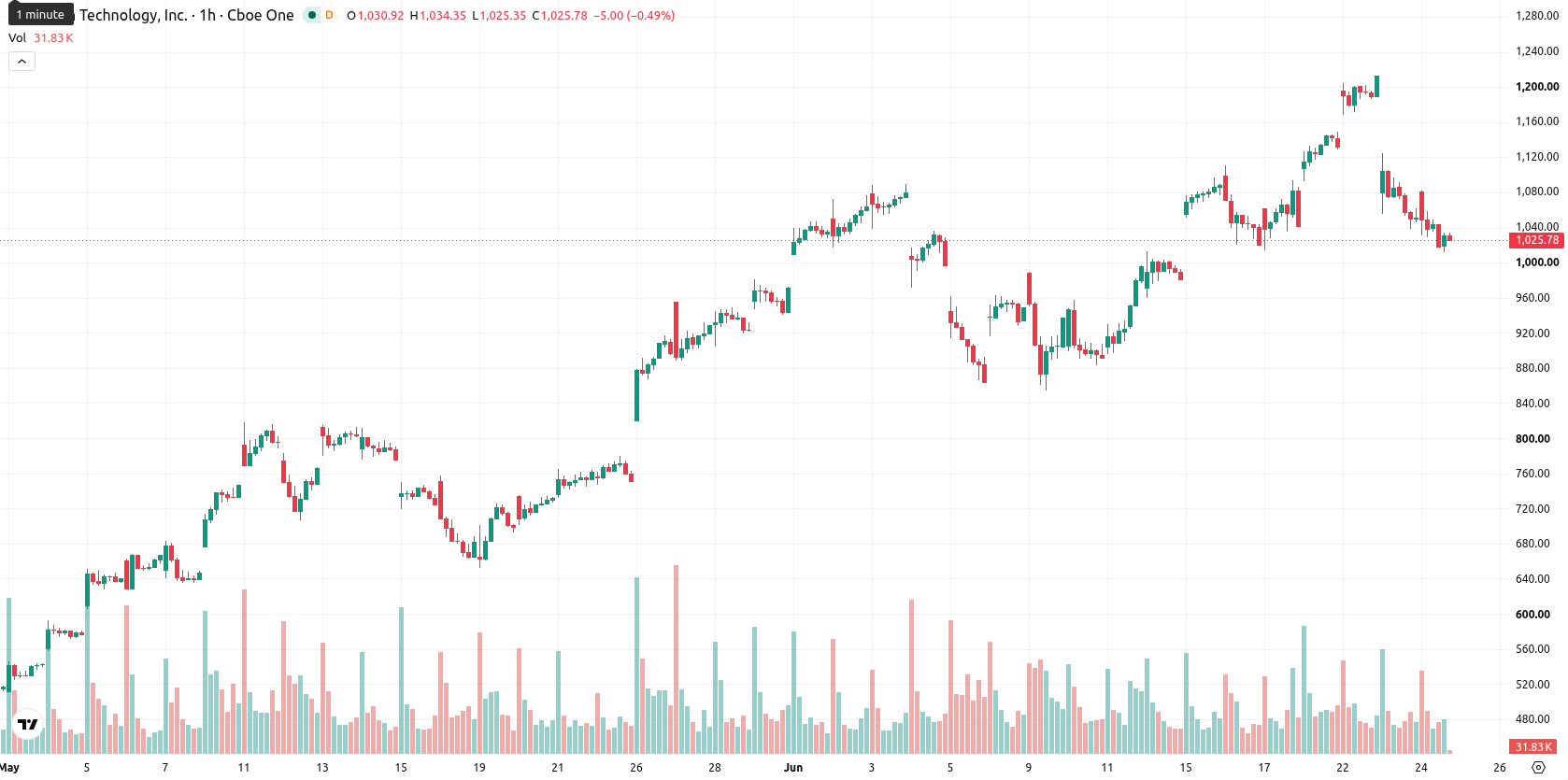 Micron Technology asset chart