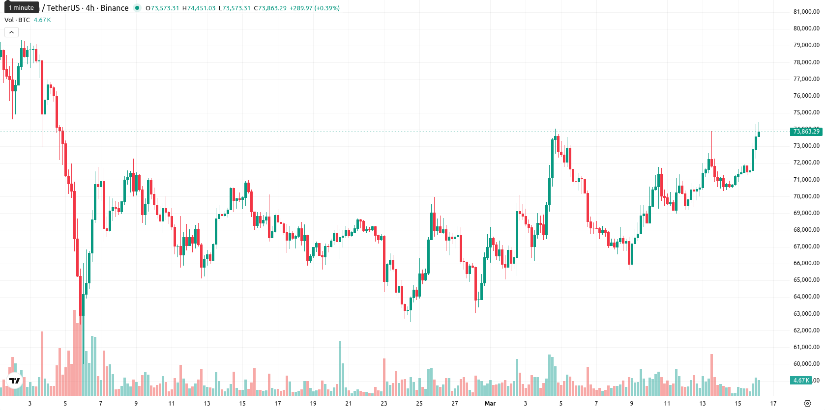 Bitcoin asset chart