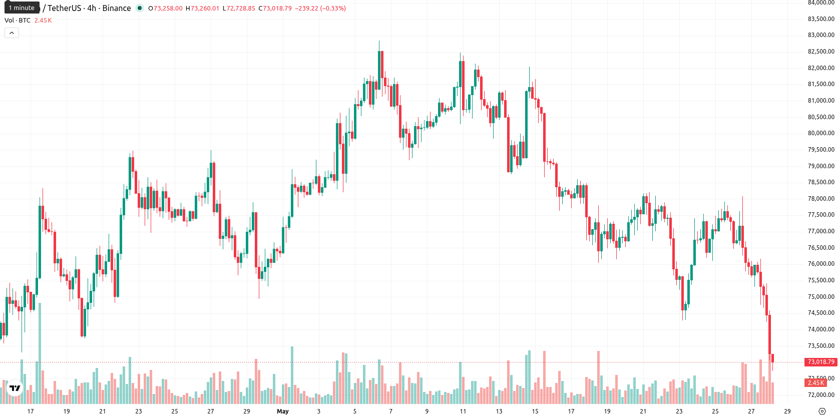 Bitcoin asset chart