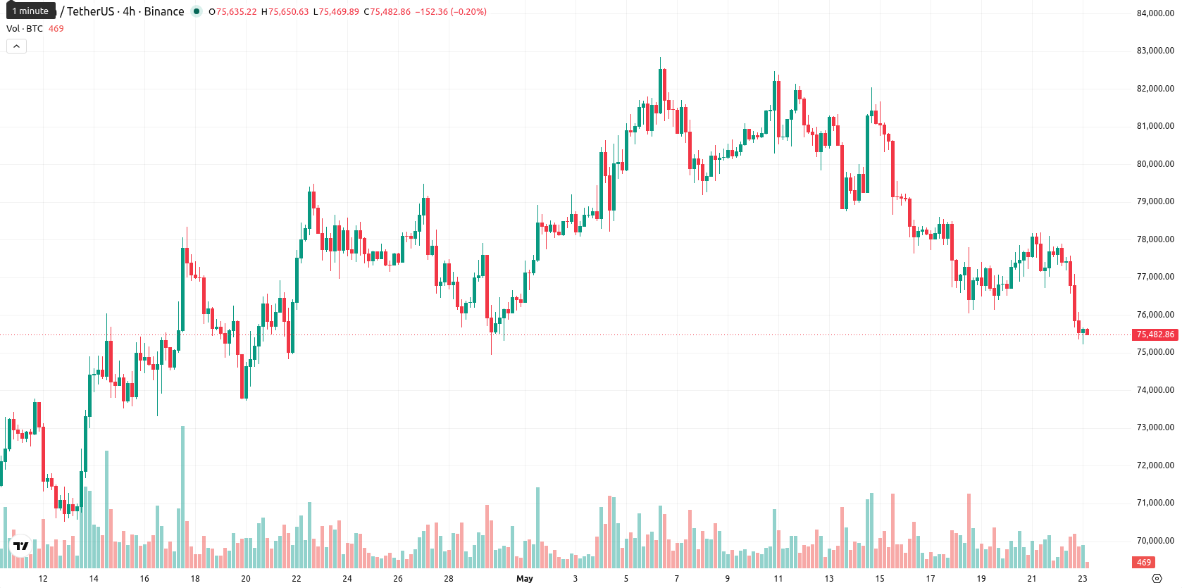 Bitcoin asset chart