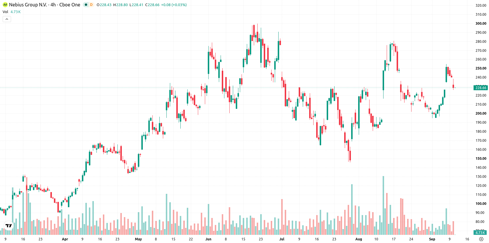 Nebius Group N.V. asset chart