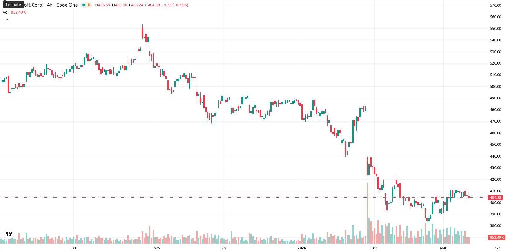 Microsoft Corp asset chart