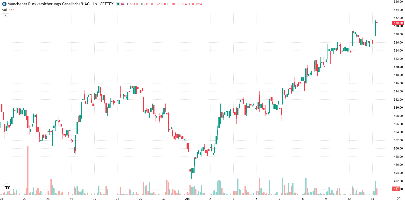 Munich Re asset chart