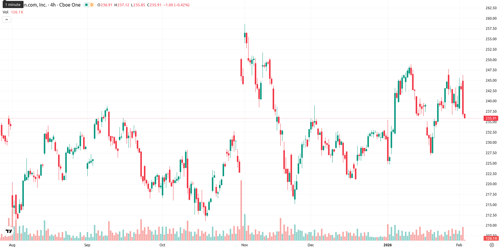 Amazon.com Inc asset chart