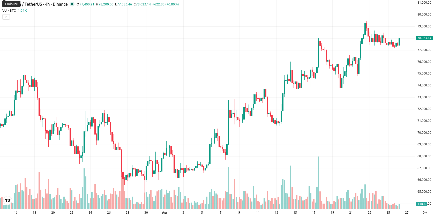 Bitcoin asset chart