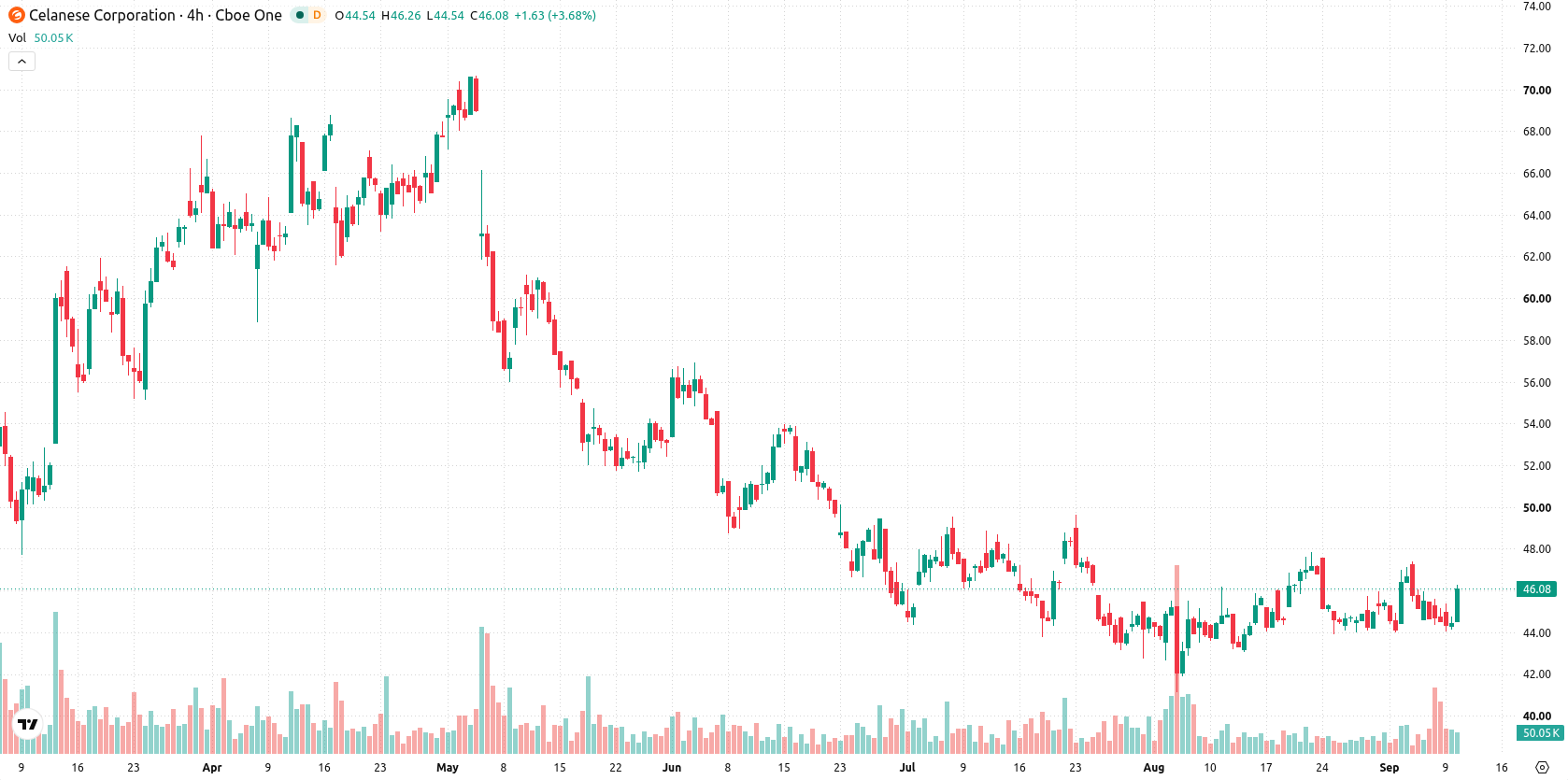 Celanese Corporation asset chart