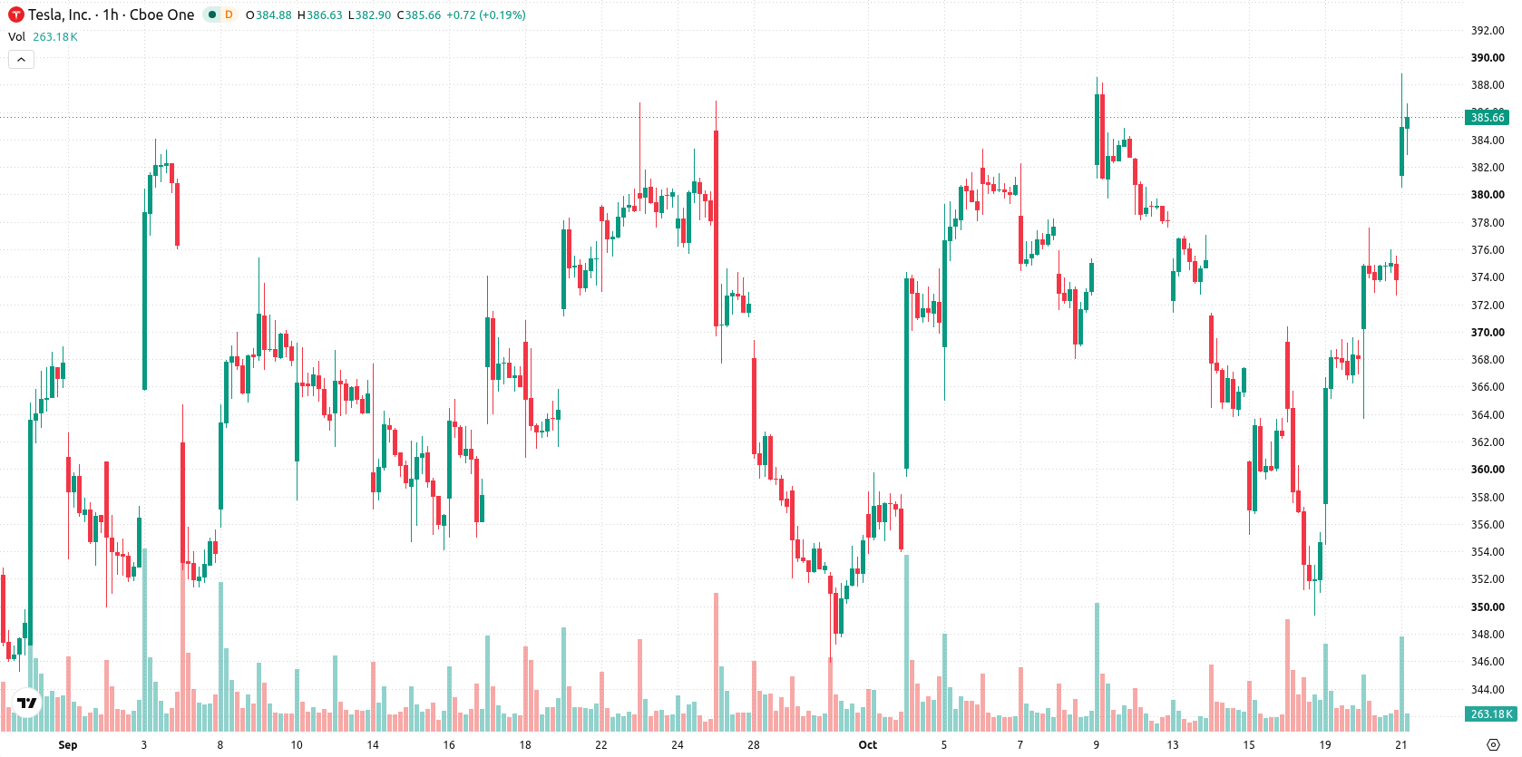 Tesla Inc. asset chart