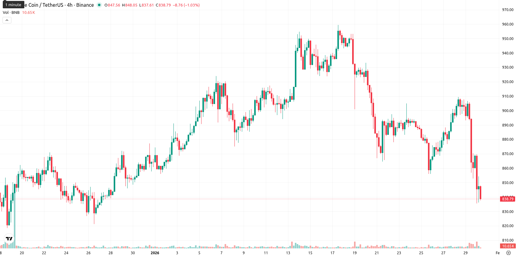 Binance Coin asset chart