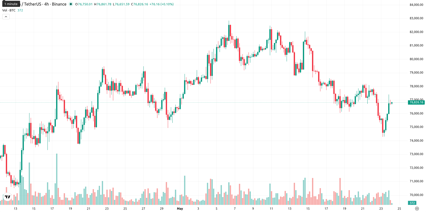 Bitcoin asset chart