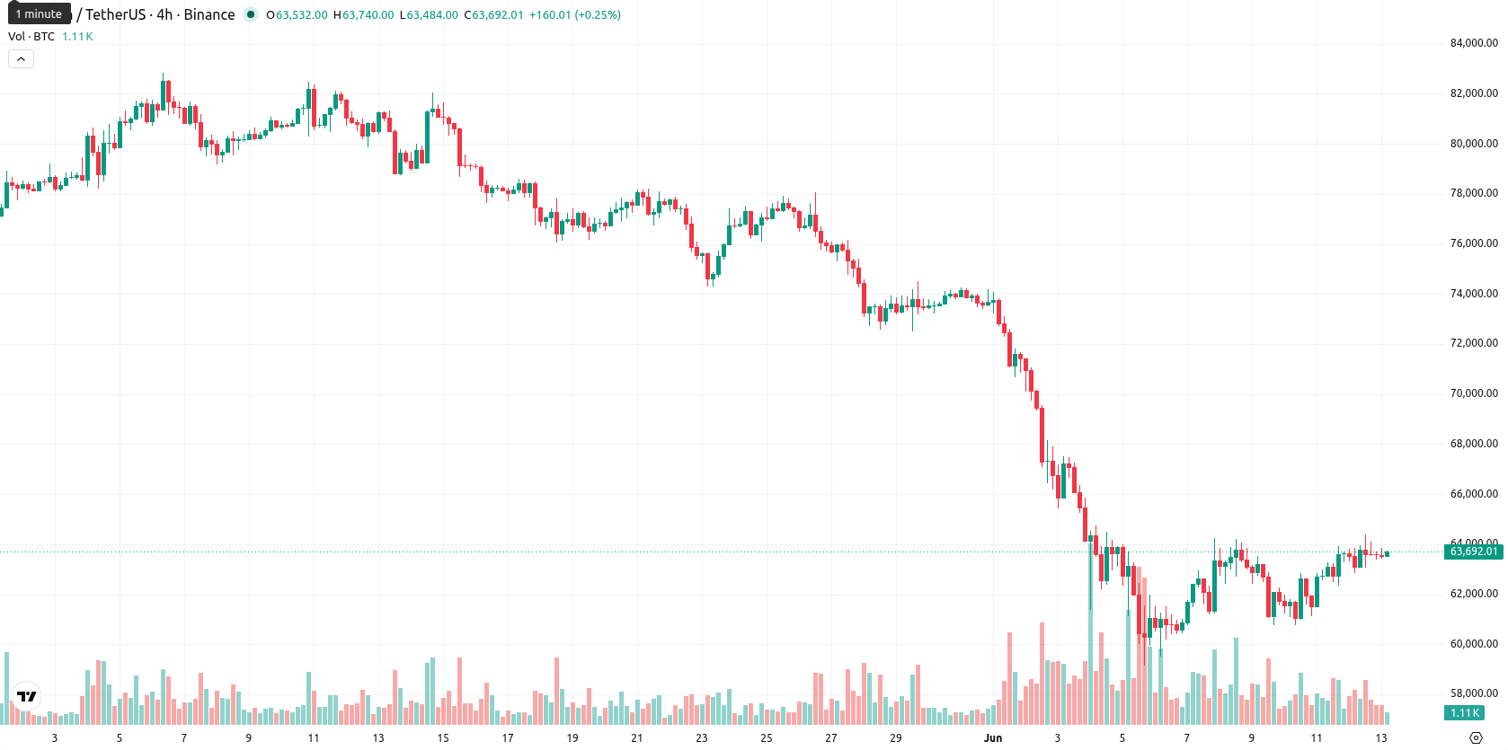 Bitcoin asset chart