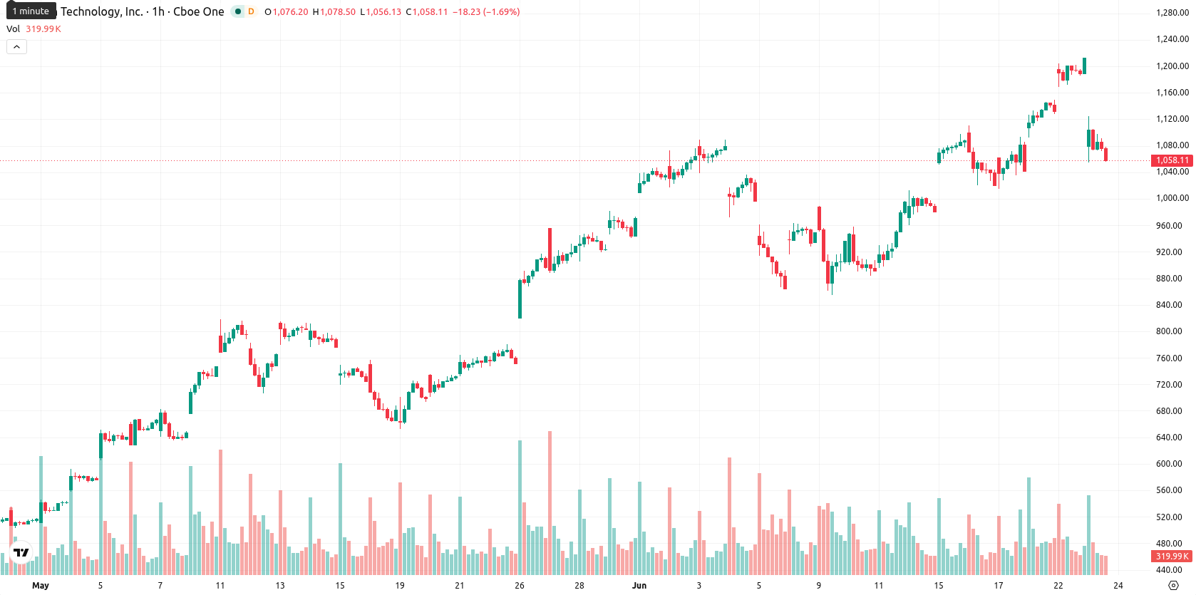 Micron Technology asset chart