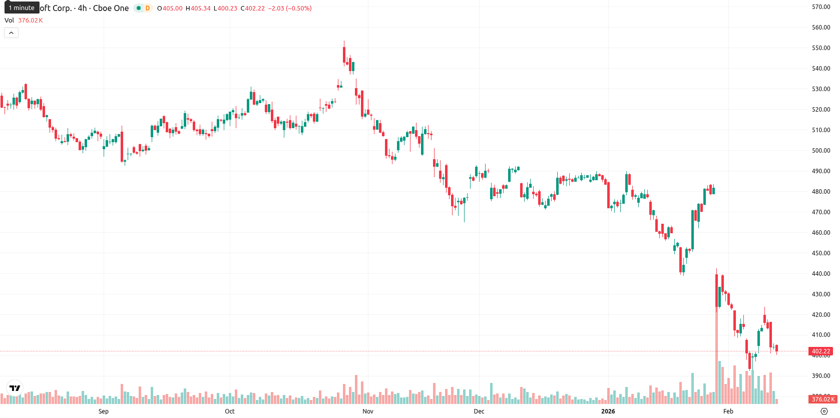 Microsoft Corp asset chart