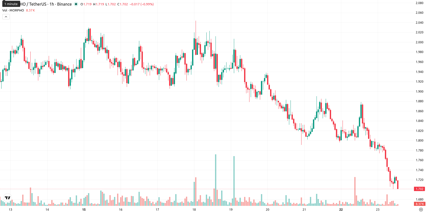 Morpho asset chart