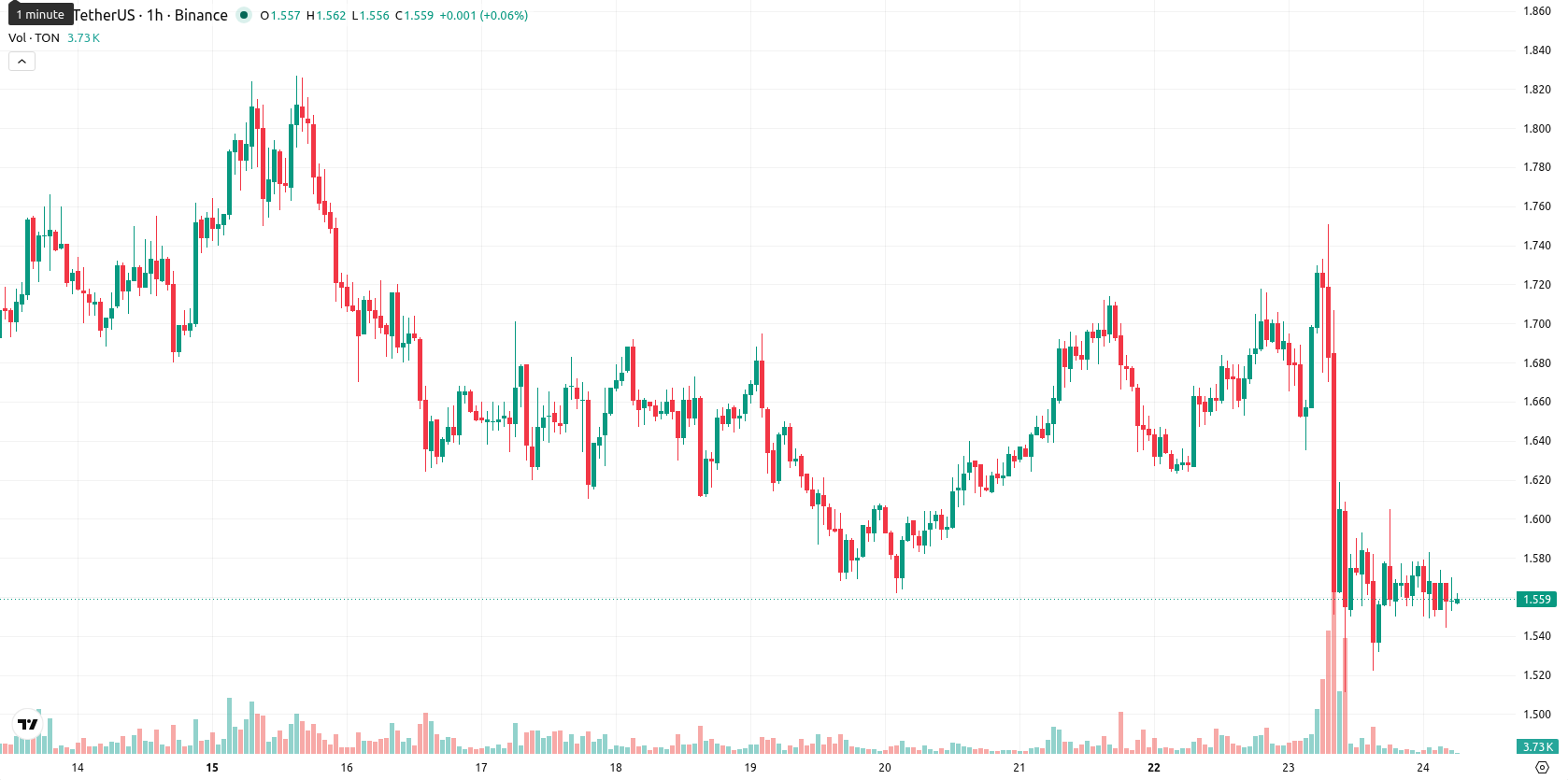 Toncoin asset chart