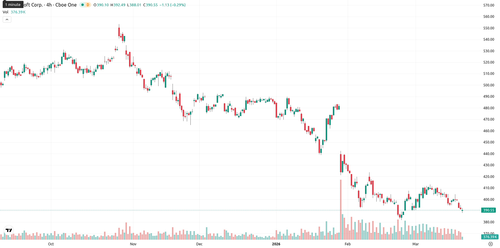 Microsoft Corp asset chart