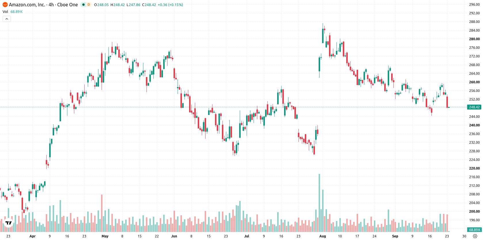Amazon.com Inc asset chart