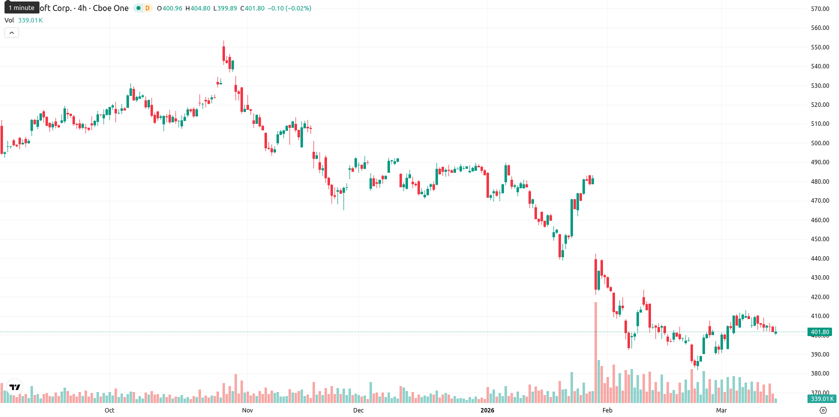 Microsoft Corp asset chart
