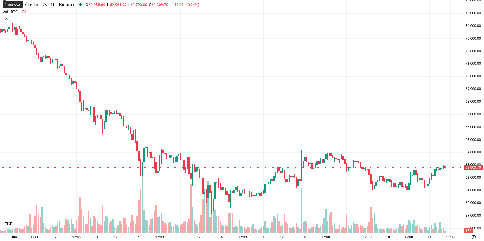 Bitcoin asset chart