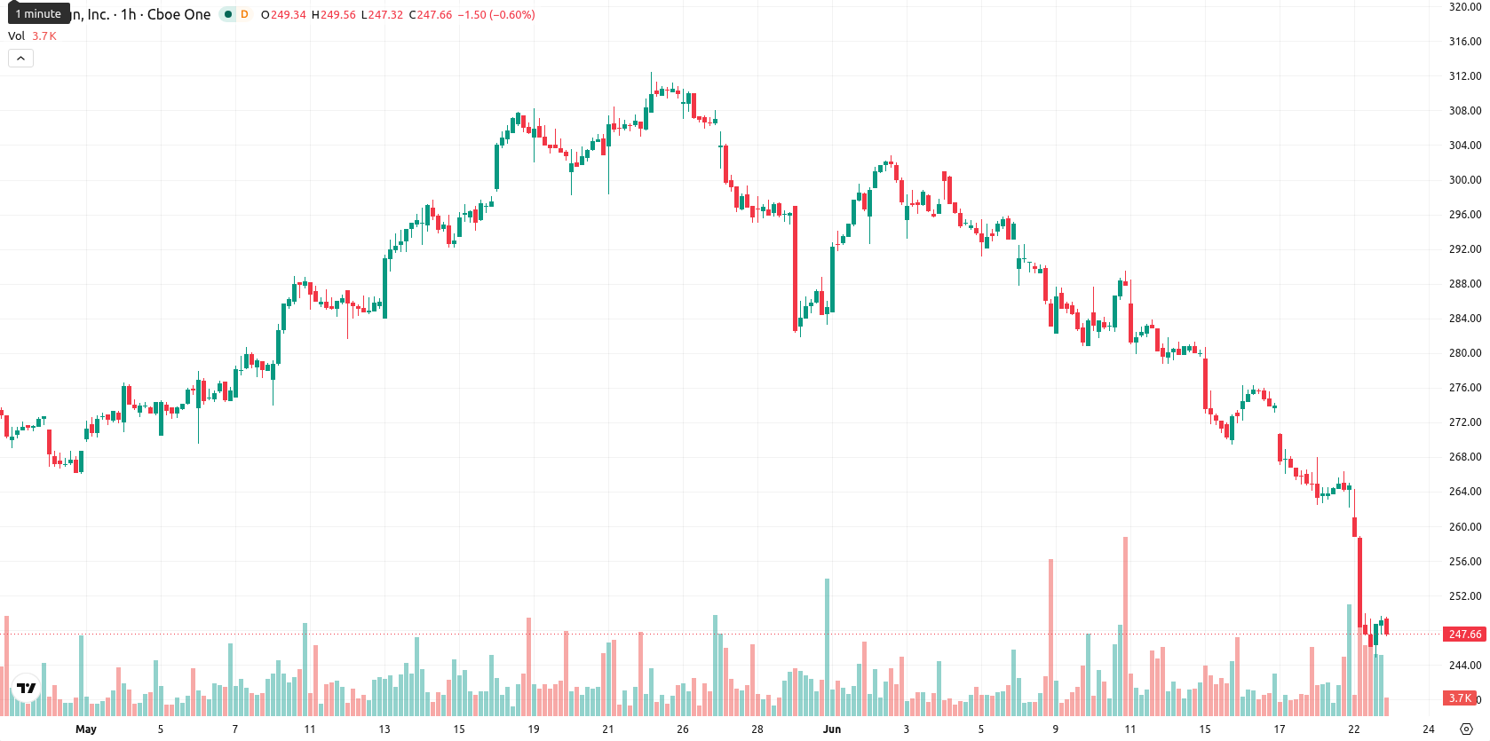 VeriSign Inc asset chart