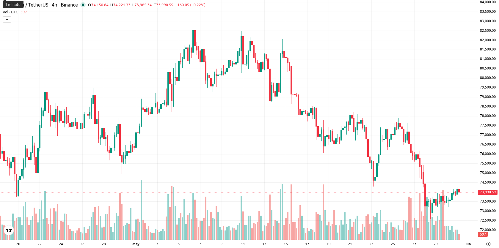 Bitcoin asset chart
